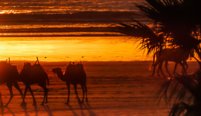 moroccoessaouria-5