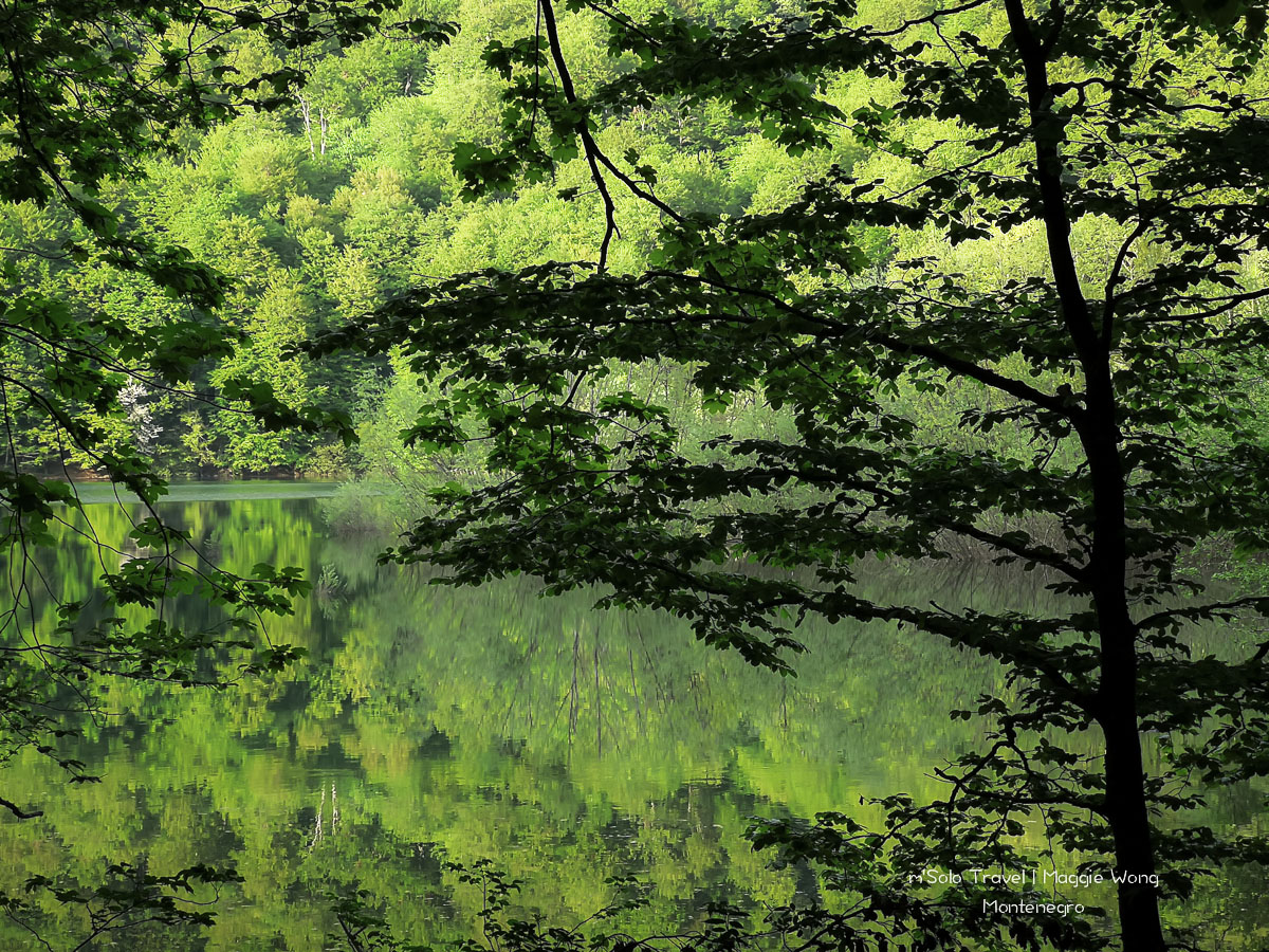 montenegro biogradska gora 