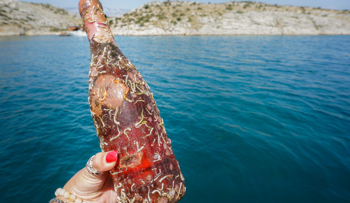 Coral wine Croatia