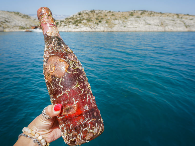 Coral wine Croatia